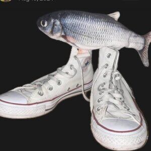 Meet your Posher, Maddie